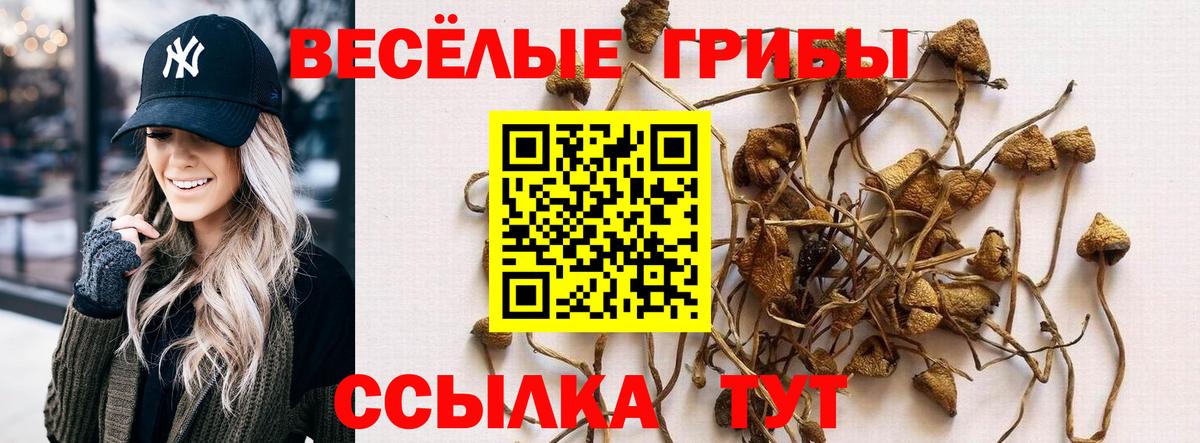 Серов  Псилоцибиновые грибы MAGIC MUSHROOMS  Псилоцибиновые грибы Psilocybe  Вход с VPN 